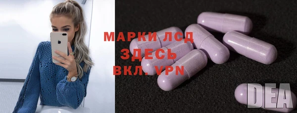 индика Аркадак