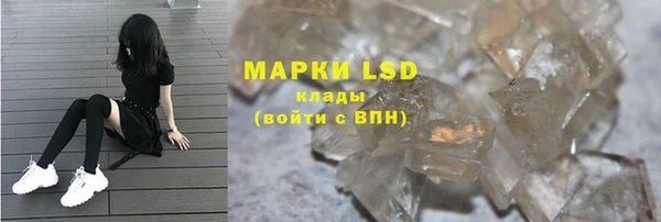 индика Аркадак