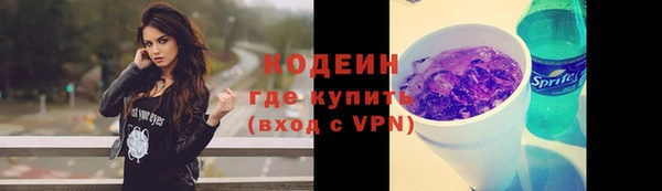 индика Аркадак