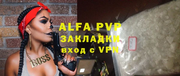 индика Аркадак