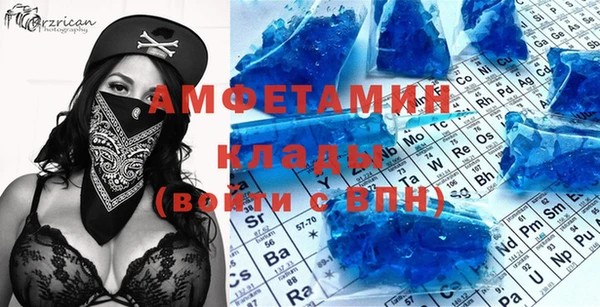индика Аркадак